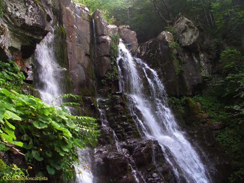  Image name: 05-cascate del dardagna.jpg 
 width: 800 pixel 
 height: 600 pixel 
 Size: 83136 bytes 
 Click to enlarge 